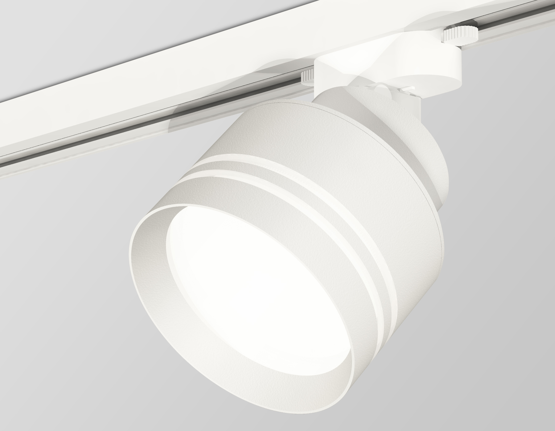 Трековый светильник Ambrella Light Track System XT8101026 (A2524, A2105, C8101, N8477)