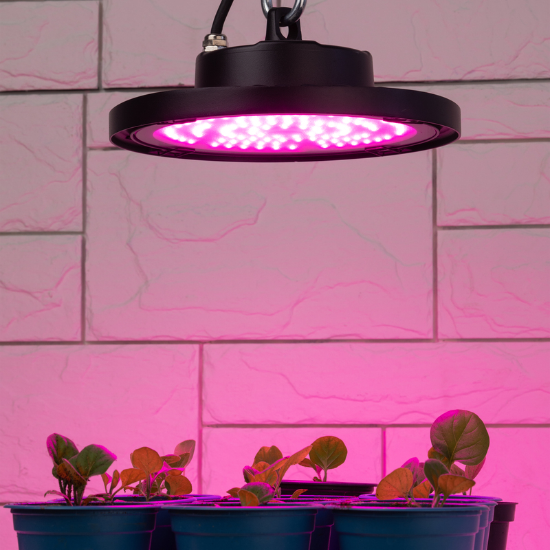 Фитопрожектор для растений Эра FITO-50W-RB-LED-UFO Б0053280