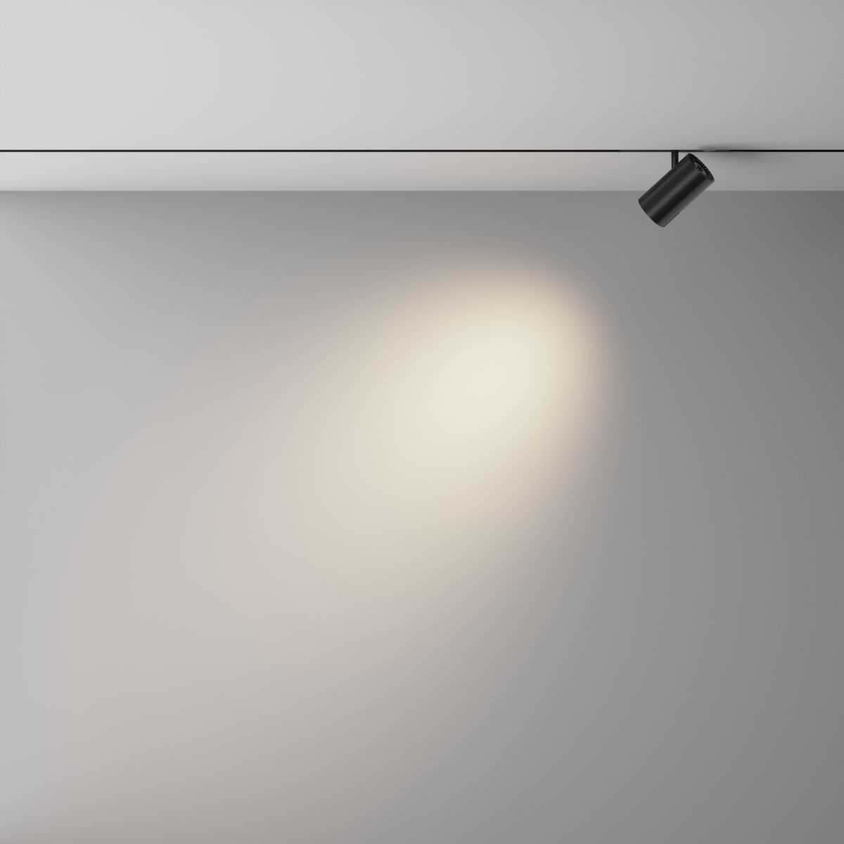 Трековый магнитный светильник Maytoni Technical Focus Led Exility X TR243-12W4K-B