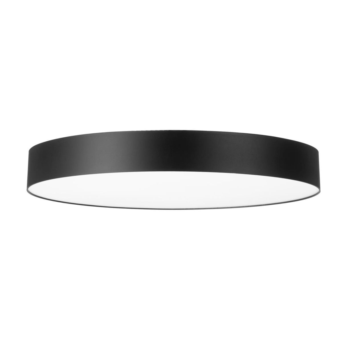 Потолочный светильник Citilux Bart CL755491