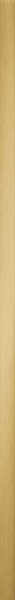 L-STEEL gold POL