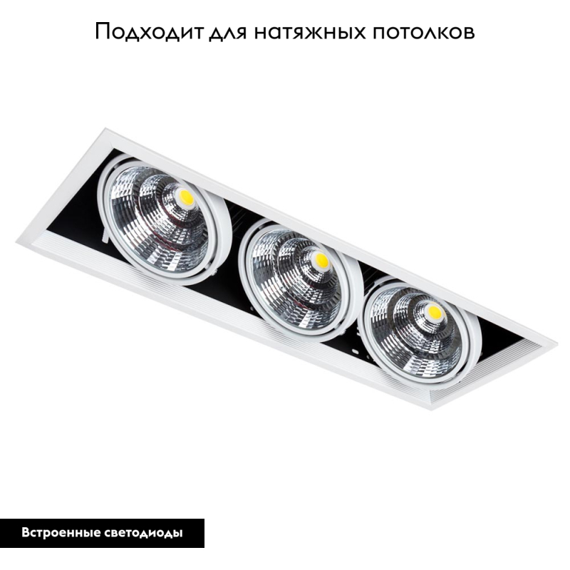 Встраиваемый светильник Arte Lamp Merga A8450PL-3WH