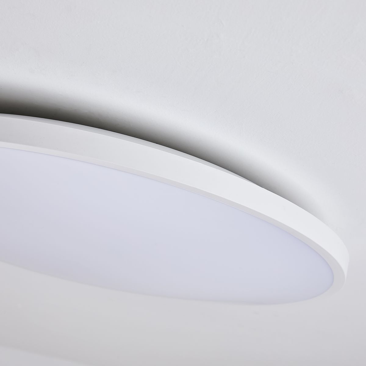 Настенно-потолочный светильник Lightstar Arco Eco 225750