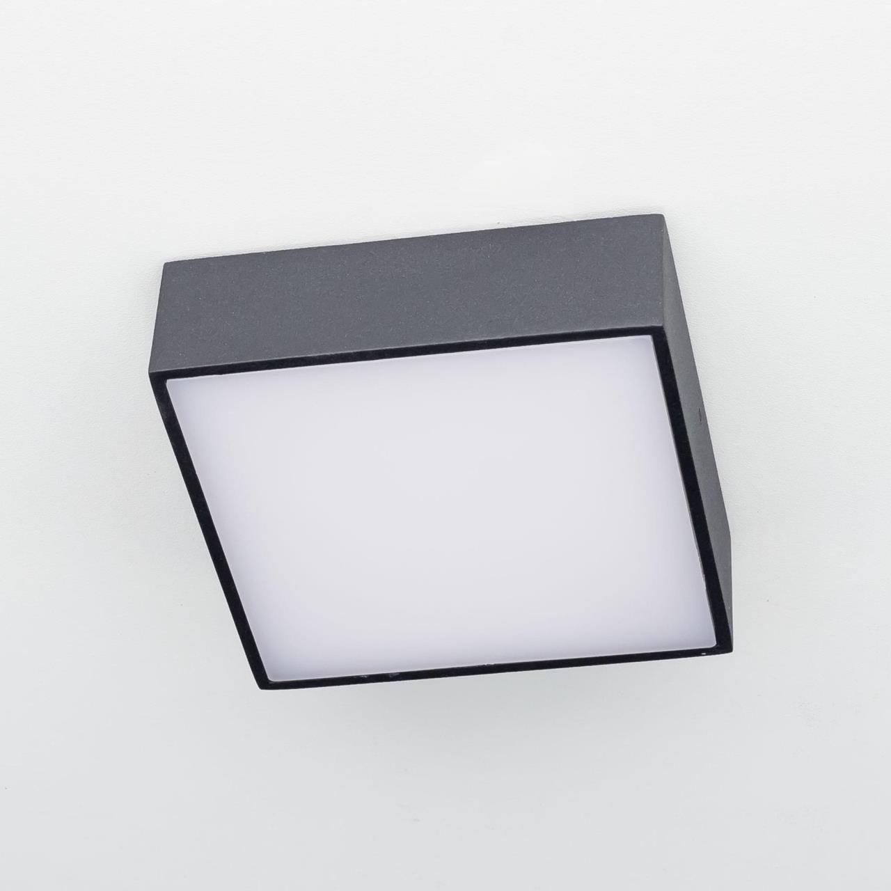 Накладной светильник Citilux Тао CL712X122N