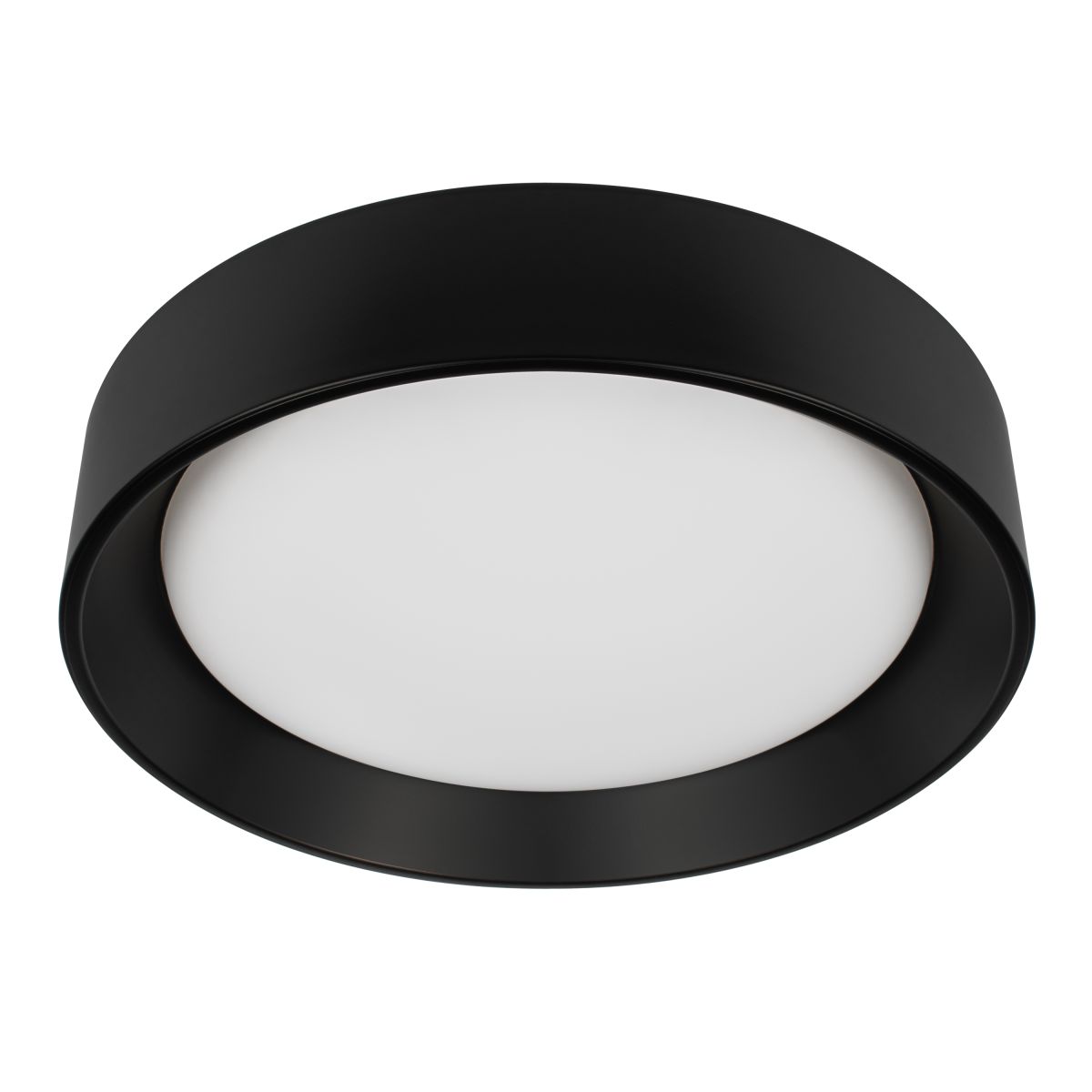 Потолочный светильник Loft IT Coin 10202 BB