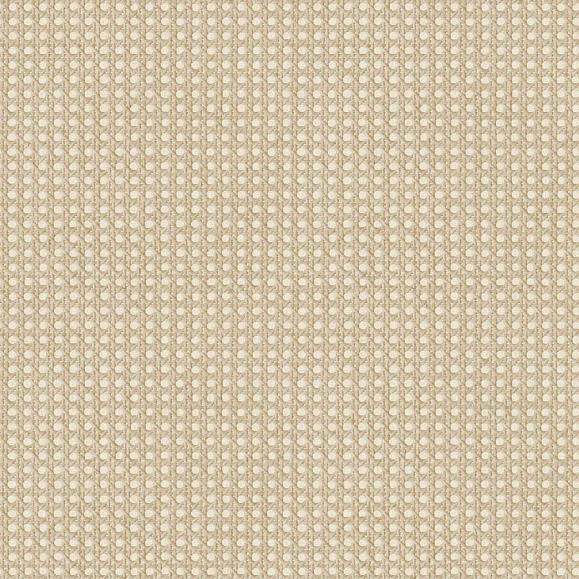 Обои Caselio 106022050 Cannage Taupe