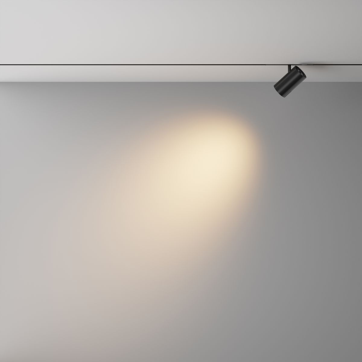 Трековый магнитный светильник Maytoni Technical Focus Led Exility X TR243-4-12WTW-DD2-B
