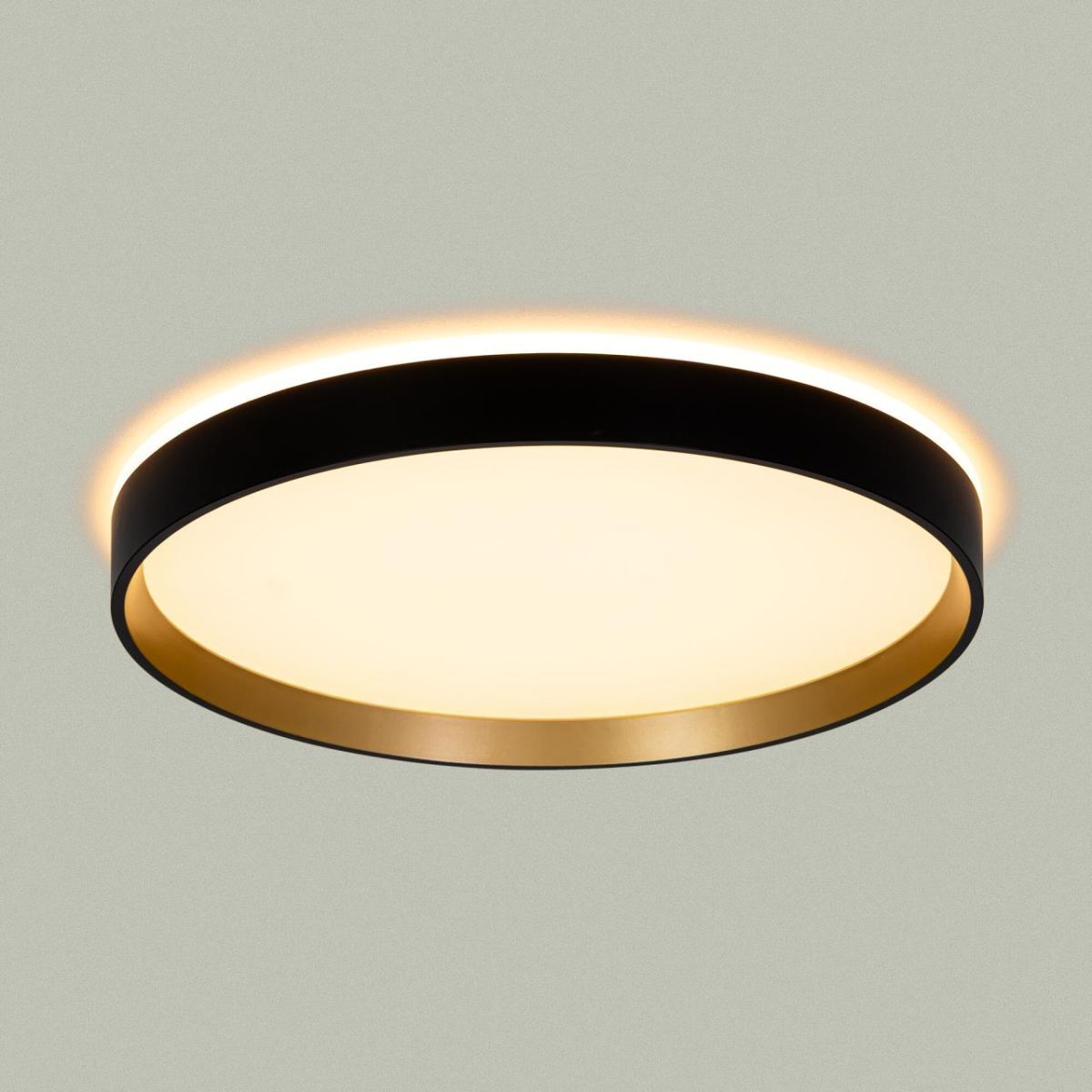 Потолочный светильник Citilux Etalon CL750321R