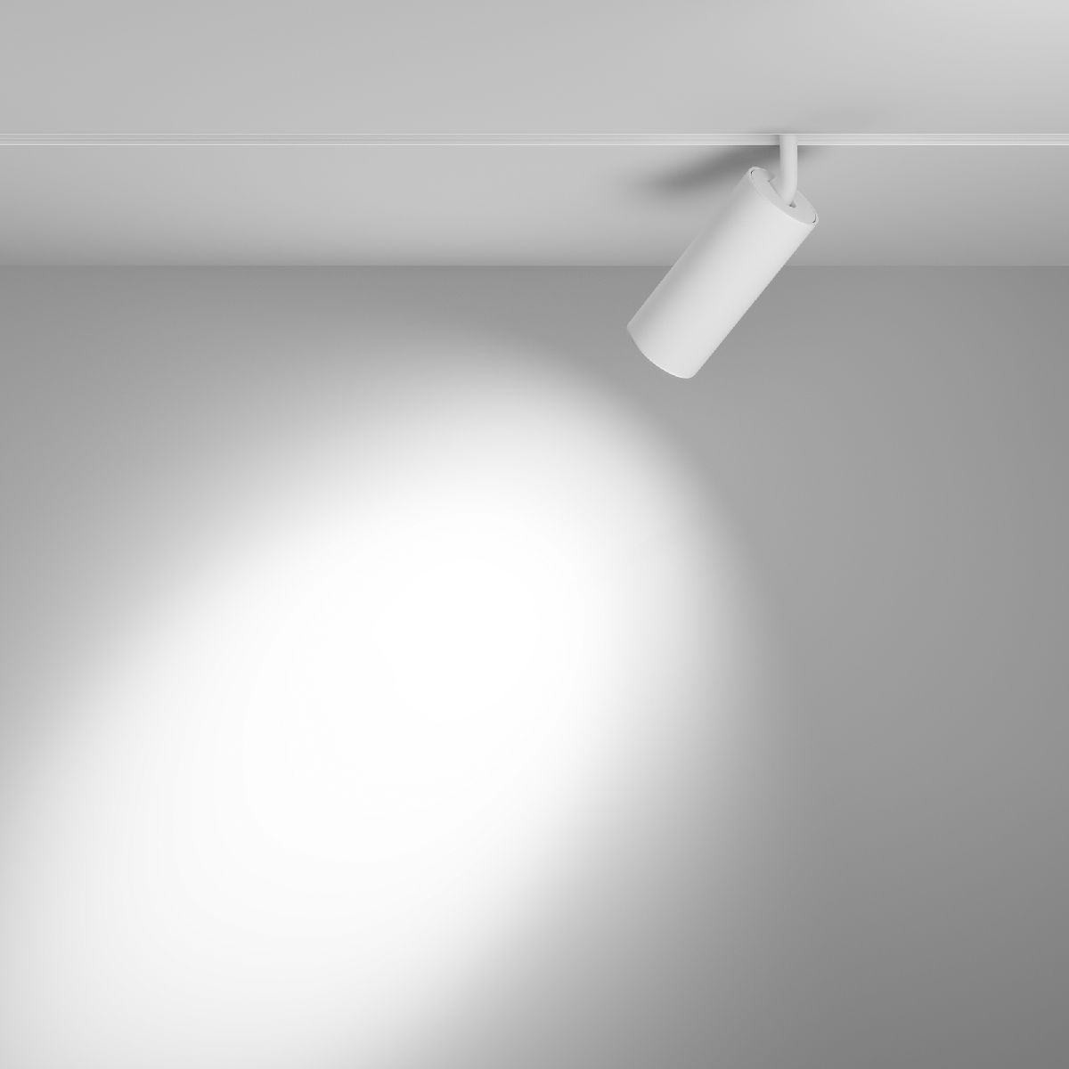 Трековый магнитный светильник Maytoni Focus LED TR032-4-20W3K-S-DS-W