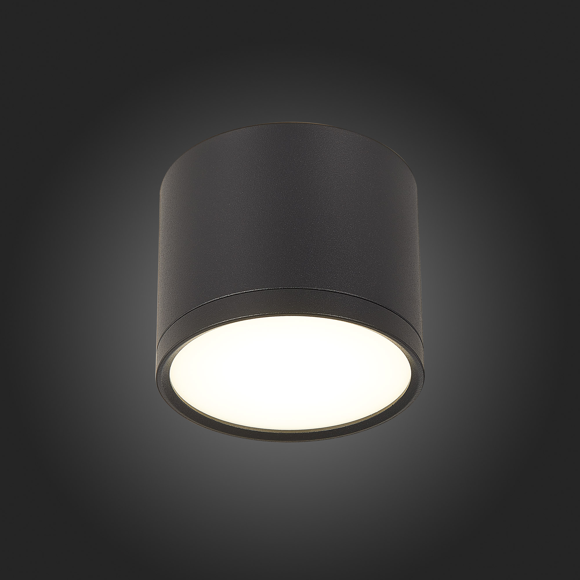 Потолочный светильник ST Luce Rene ST113.442.09