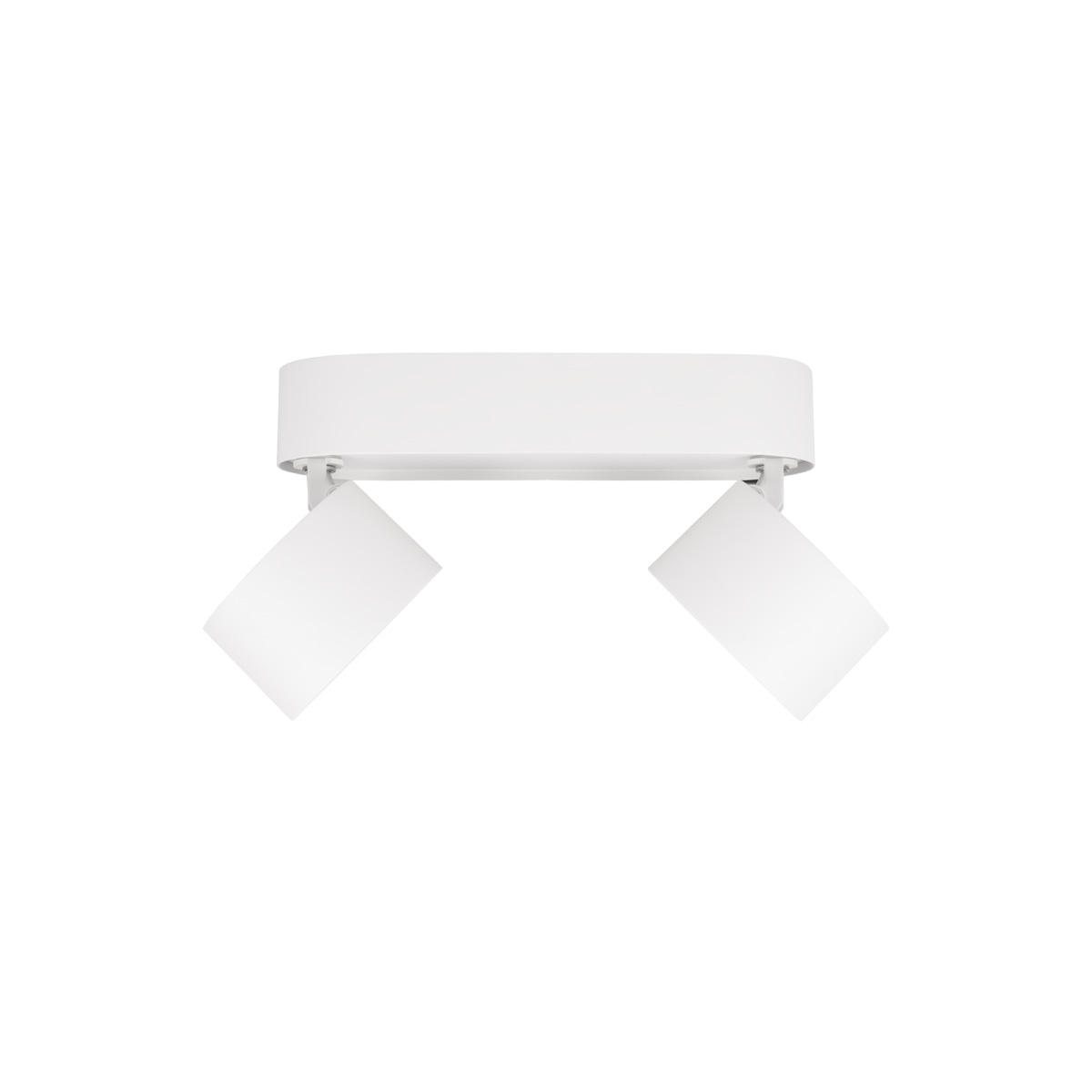 Накладной спот Loft IT Focus 10323/2A White