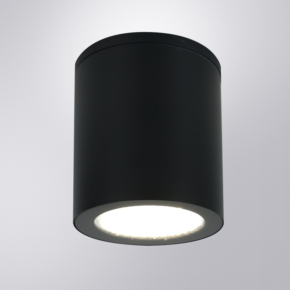 Уличный потолочный светильник Arte Lamp Torcular A1313PF-1BK