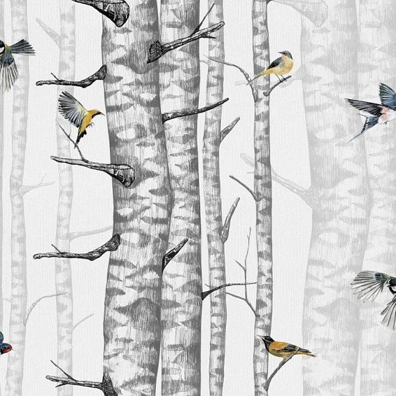 Обои Coordonne 9500040N Birch Trees Grey