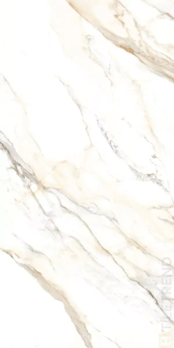 White Marbles Dorian Polished 60x120