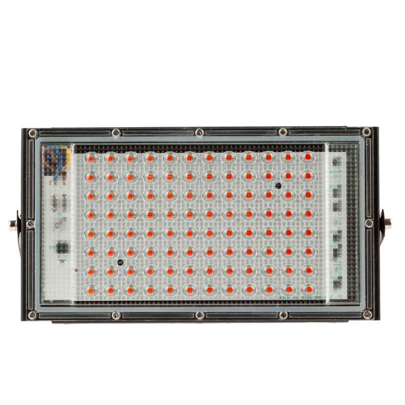 Фитопрожектор для растений Эра FITO-80W-RB-LED-Y Б0053082