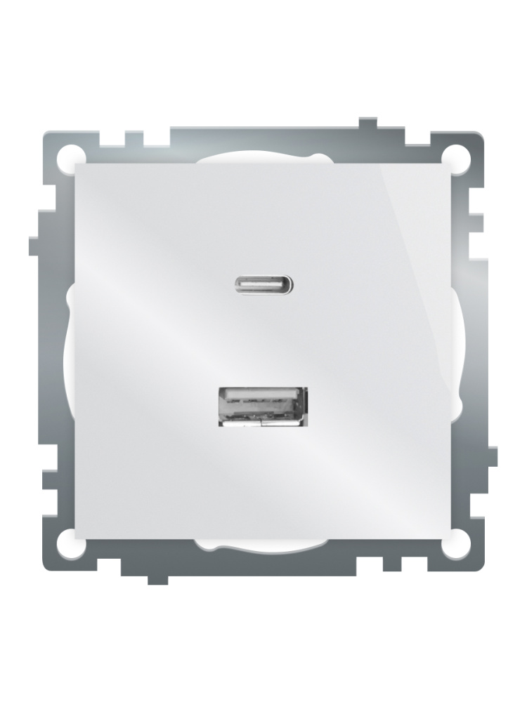 Розетка 2-местная USB + type C Stekker Катрин GLS10-7116-01 50051