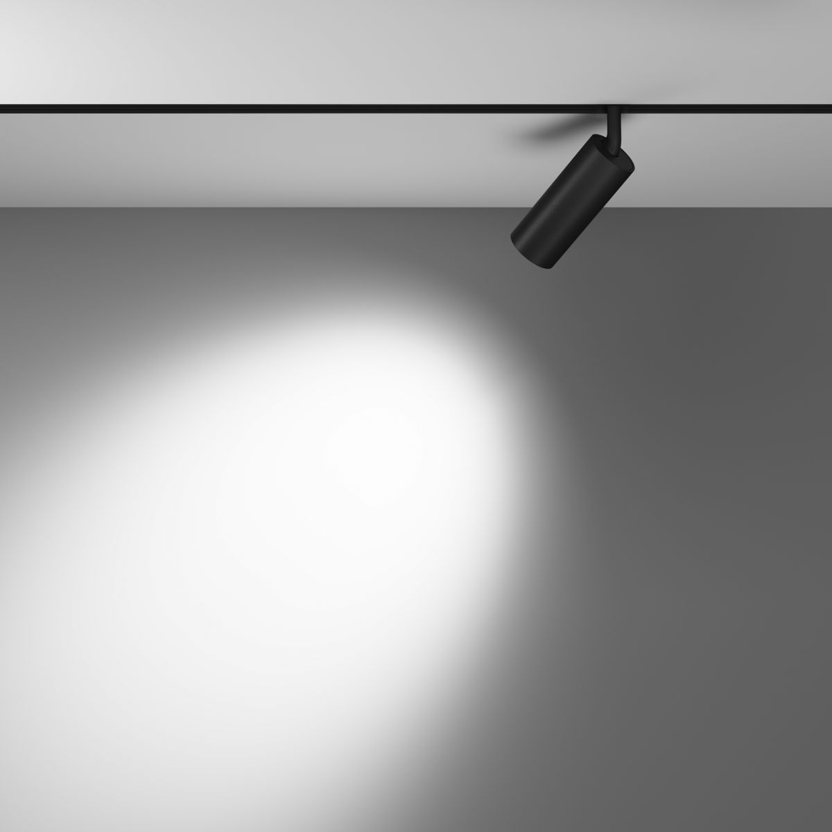Трековый магнитный светильник Maytoni Focus LED TR032-4-12WTW-M-DSZ-B