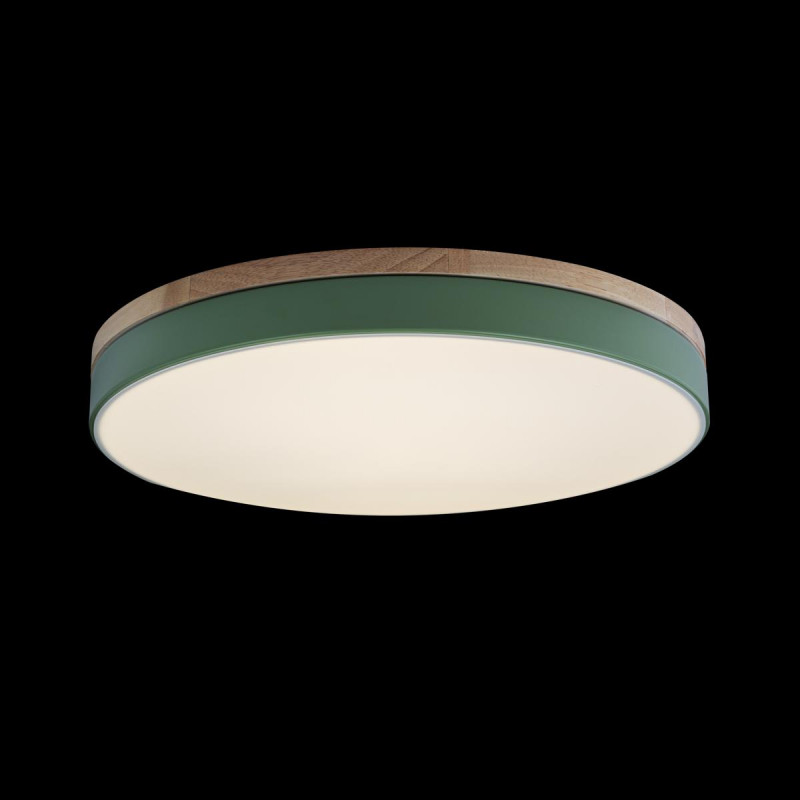 Потолочный светильник Loft IT AXEL 10001/36 Green