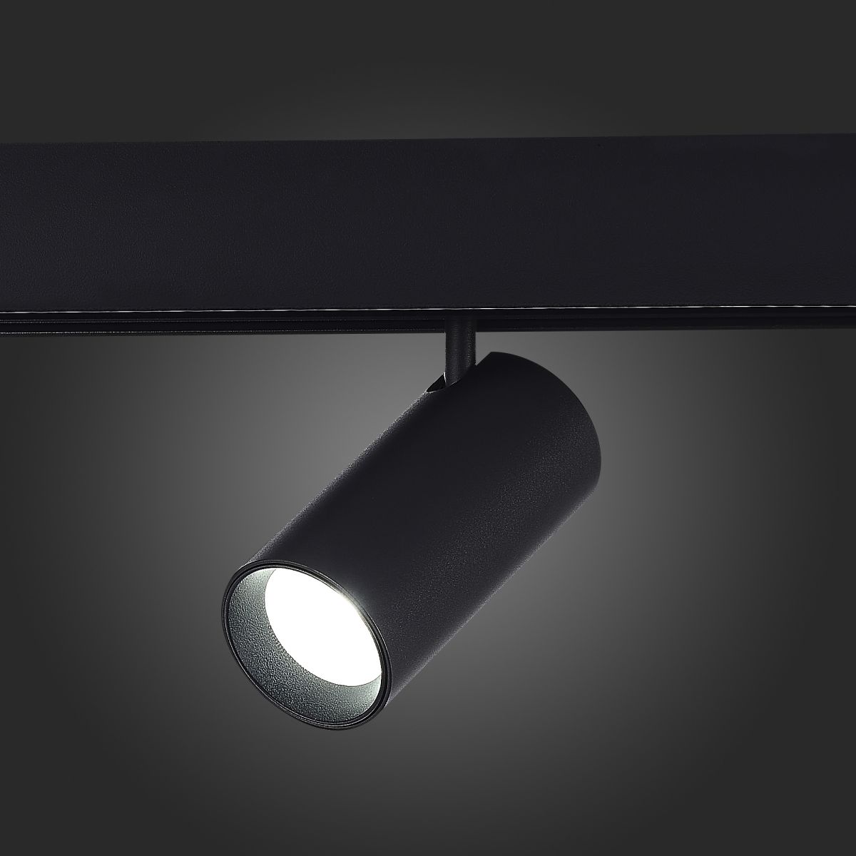 Трековый магнитный светильник ST Luce Skyline 48 ST375.406.12.1