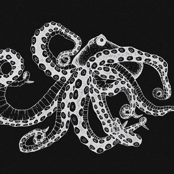 Панно Coordonne 9500802V Octopus X-Ray Black