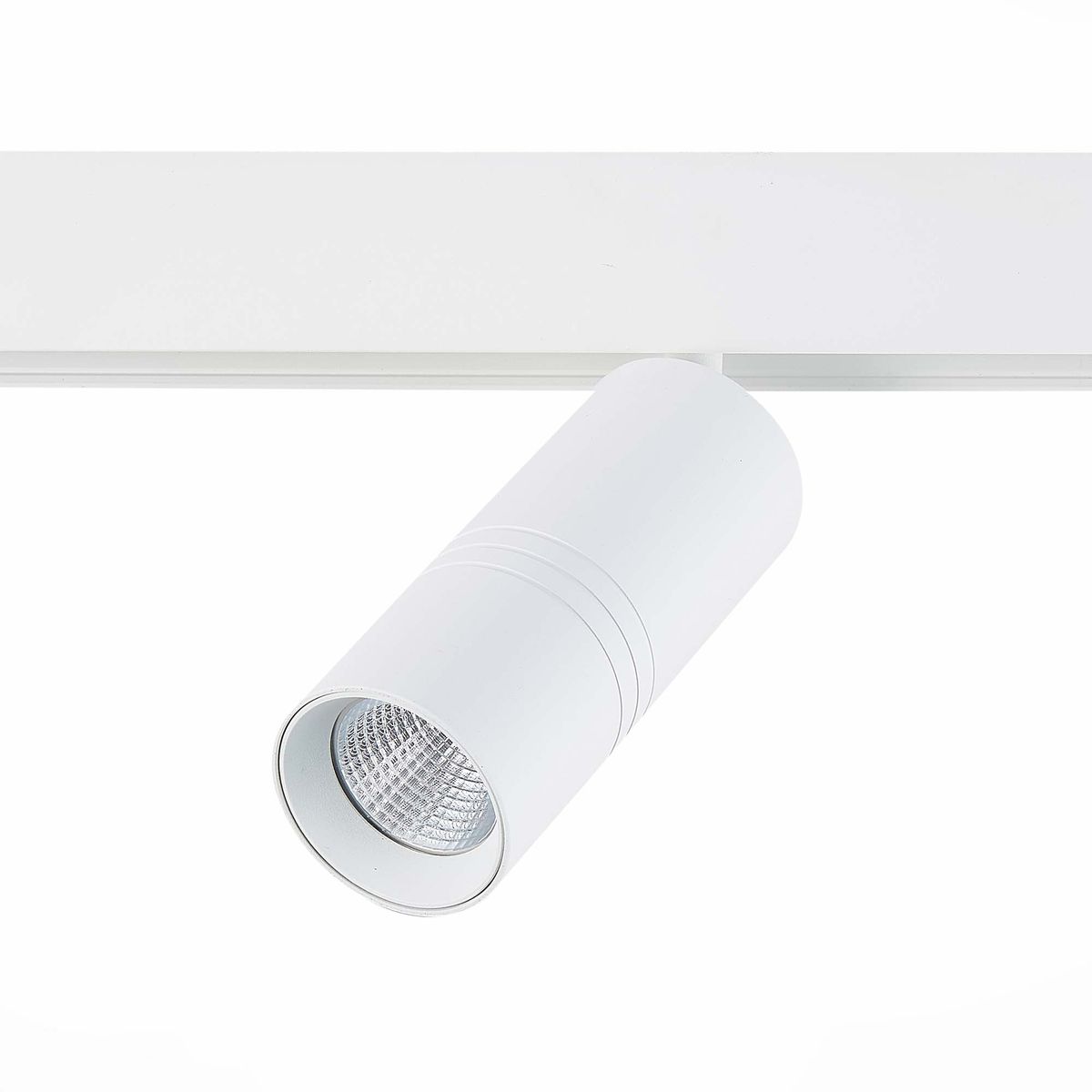 Магнитный трековый светильник ST Luce Lemmi ST365.546.18