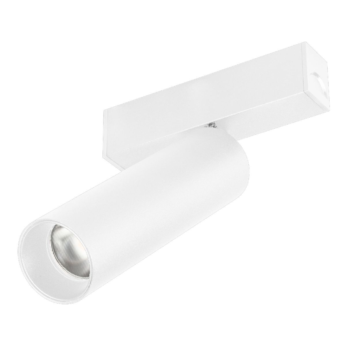 Трековый магнитный светильник Arlight MAG-SPOT-25-R120-12W Day4000 050076