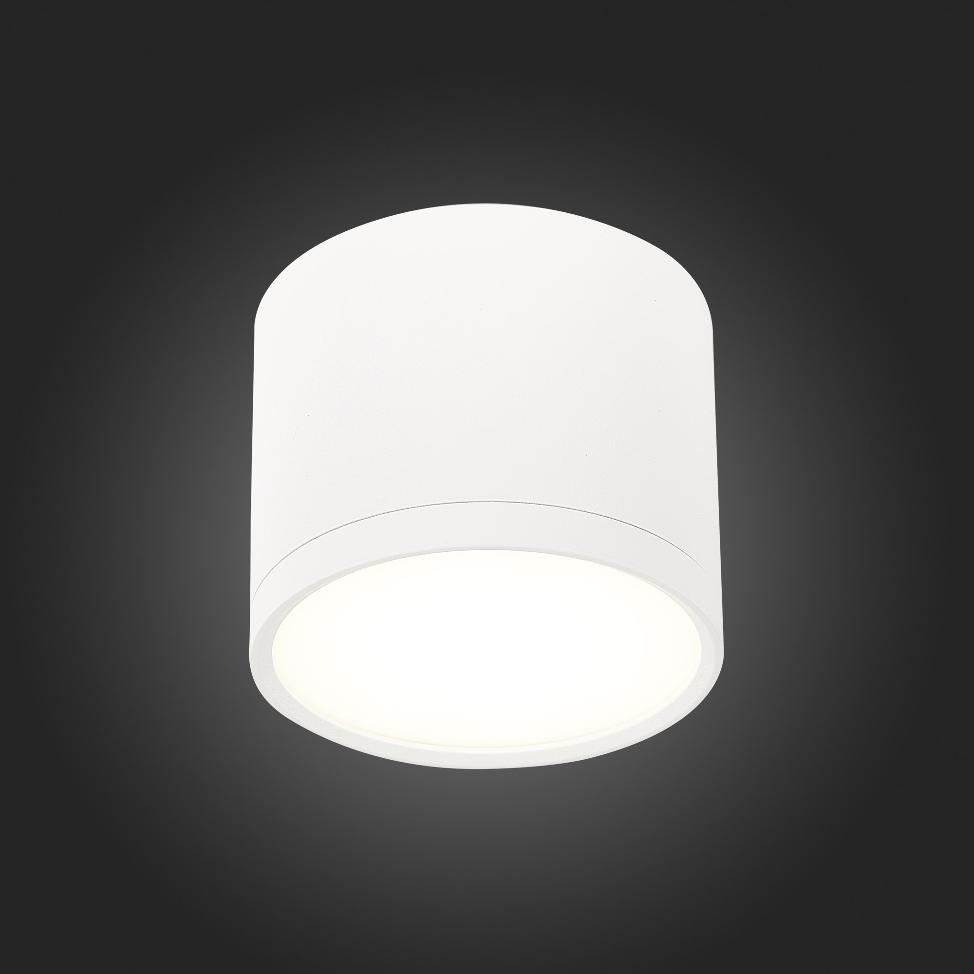 Потолочный светильник ST Luce Rene ST113.542.09