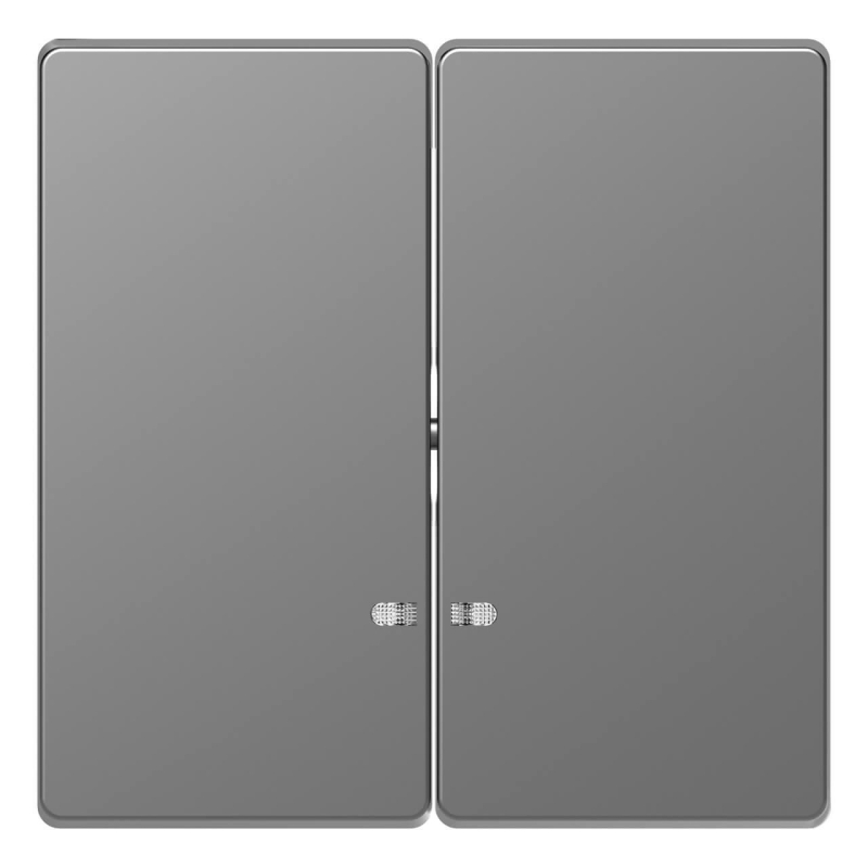 Клавиша двойная Schneider Electric Merten D-Life MTN3420-6036