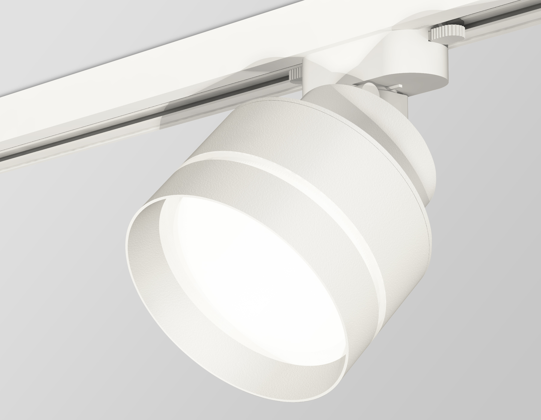 Трековый светильник Ambrella Light Track System XT8101025 (A2524, A2105, C8101, N8461)