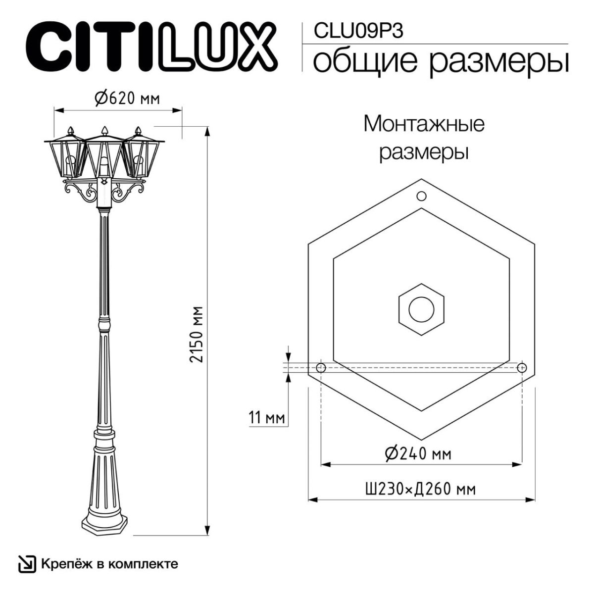 Парковый светильник Citilux Forts CLU09P3