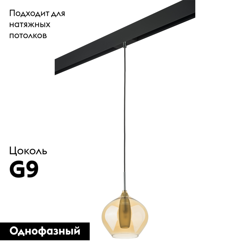 Трековый светильник Lightstar Pentola PRO803043 (803043+595007)