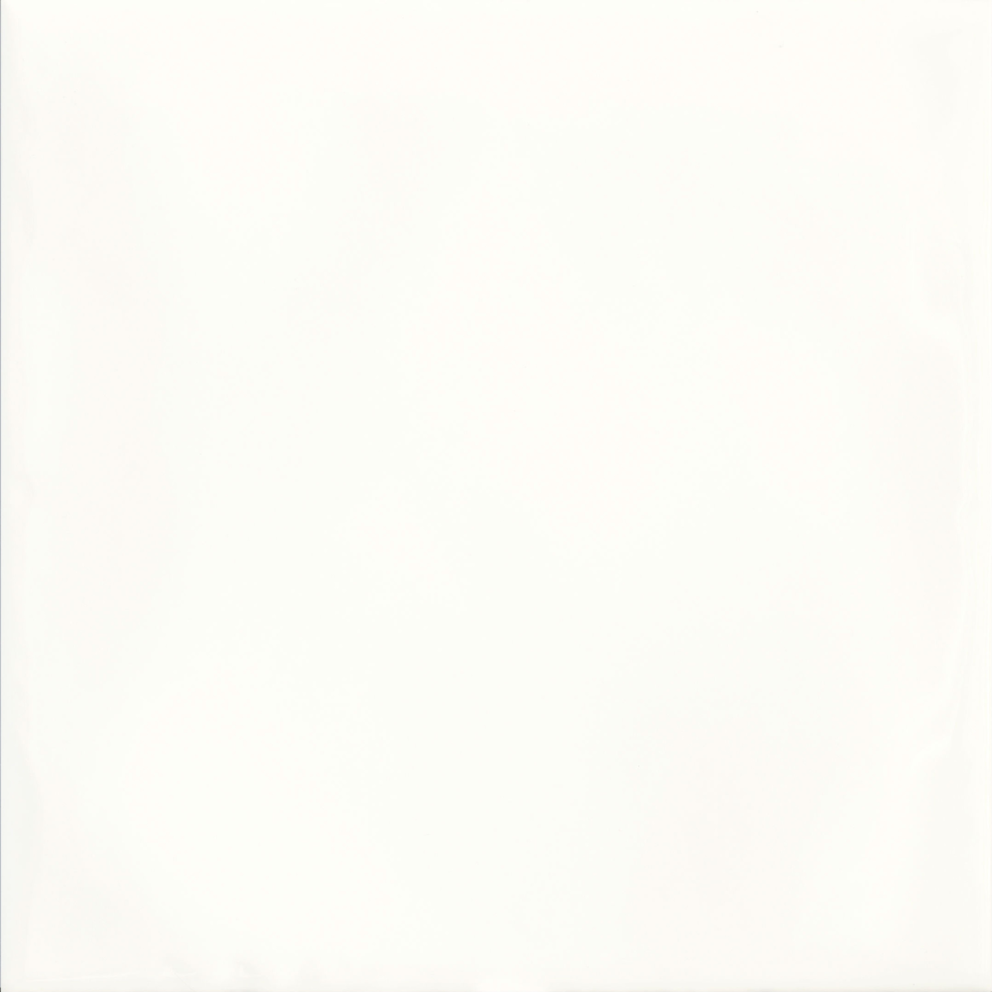Плитка Настенная Tamoe Blanco 19.8x19.8