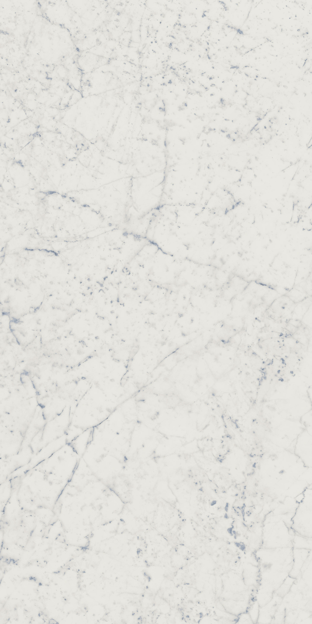 CHA.EXT.CARRARA 60X120 RET